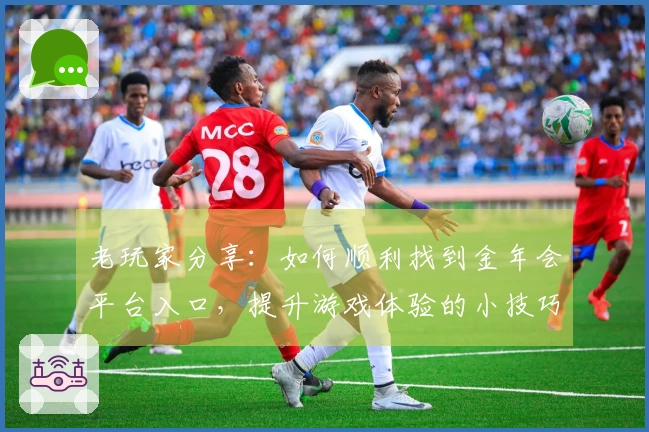 老玩家分享：如何顺利找到金年会平台入口，提升游戏体验的小技巧